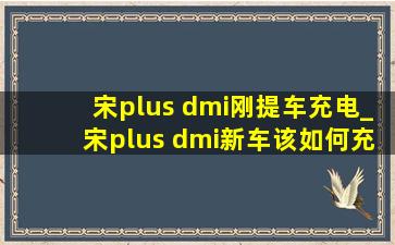 宋plus dmi刚提车充电_宋plus dmi新车该如何充电